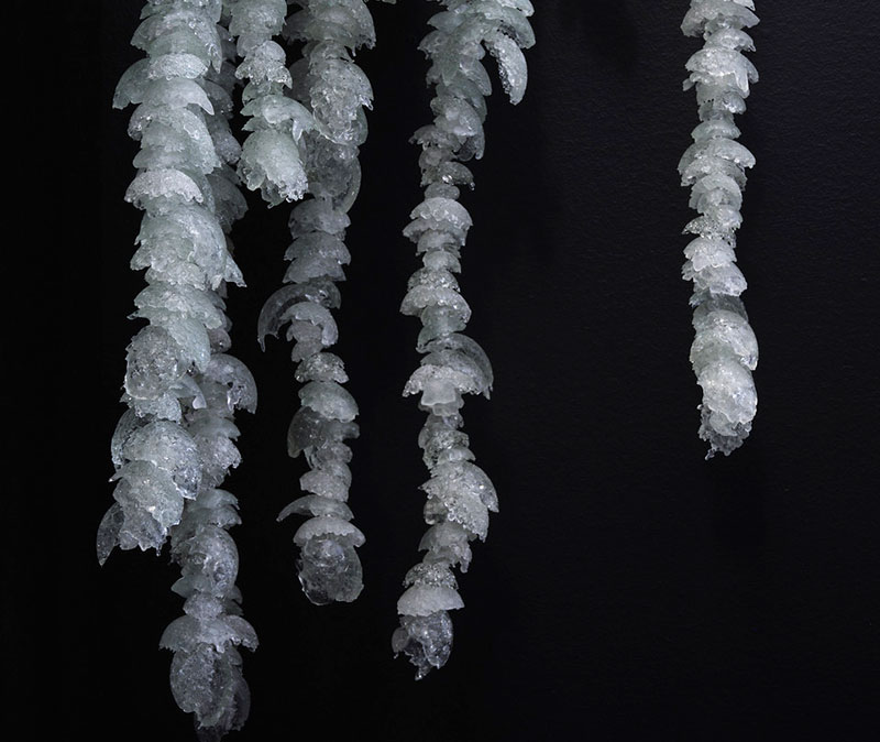 Emily Siddell - Ceramic, Glass and Wire Artist