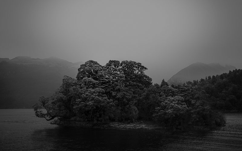 FHE Galleries Previous Exhibition - Tonu | Still