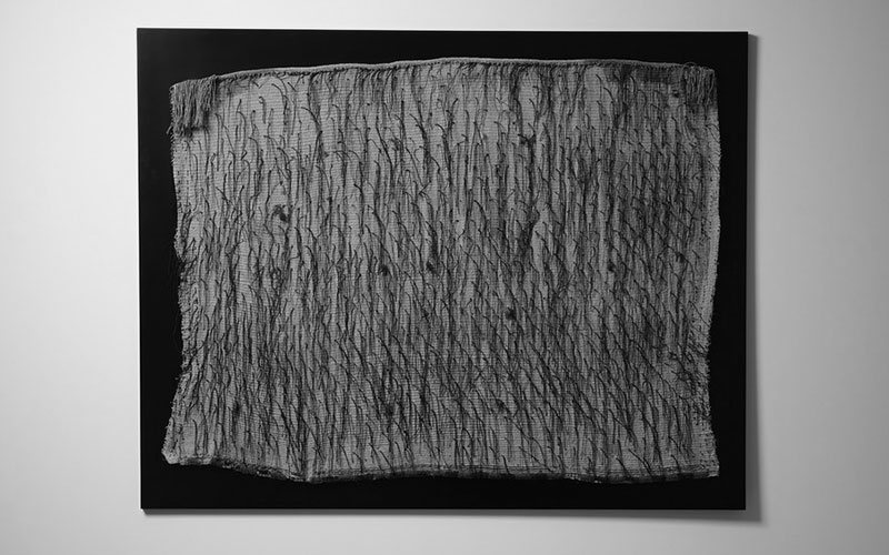 FHE Galleries Current 2021 Exhibition - Oceania