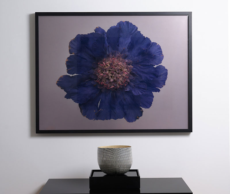 Oceania Exhibition, Casey Moore and Mark Mitchell