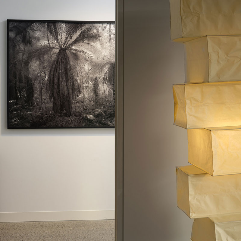 Installation View Curated V Exhibition 2022