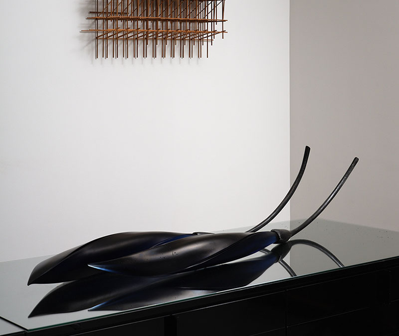 Exhibition, Curated VI, Ann Robinson Flax Pods