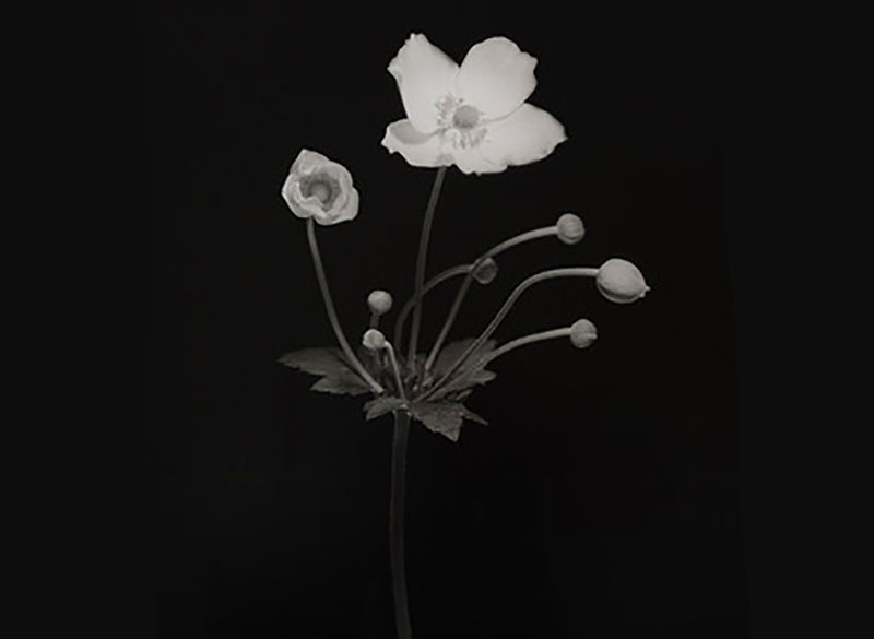 2023 Exhibition, Winter 23, Casey Moore'