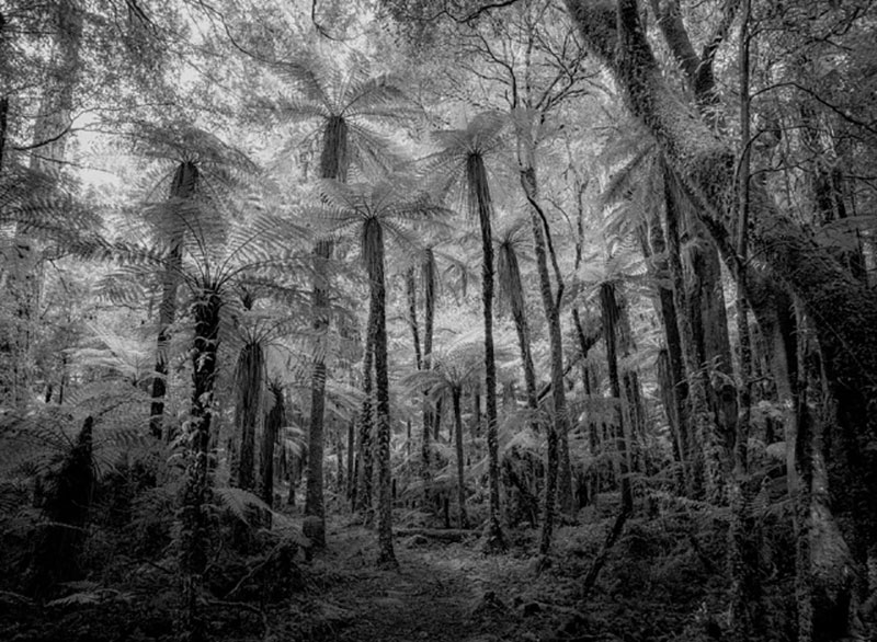 2023 Exhibition, Nigel Swinn ’South Island II’