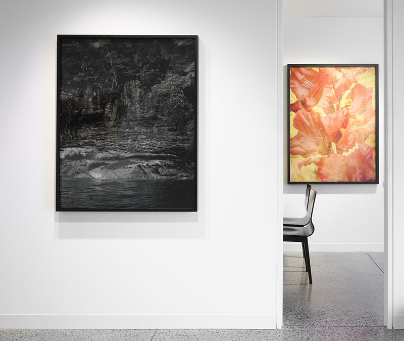 2025 Exhibition Ātaahua Installation View