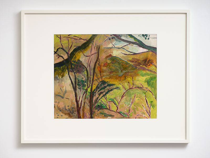 Melanie Mills ‘Overgrown Woodland’ 2022