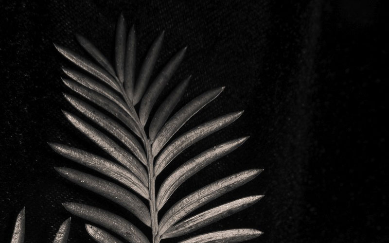 FHE Galleries Gallery Exhibition